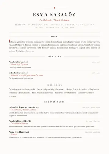 Yönetici Asistanı Cv Örnekleri cv indir